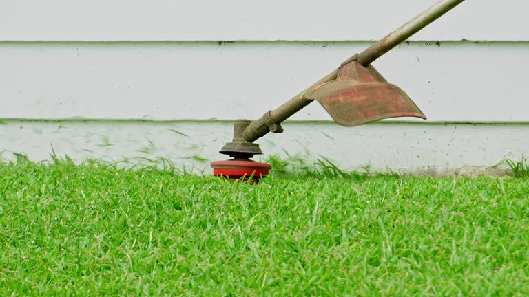 Best Lawn Irrigation Installation and Maintenance  in Lakeside, TX